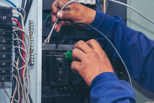 Best Electric Panel Repair  in Whitney Point, NY